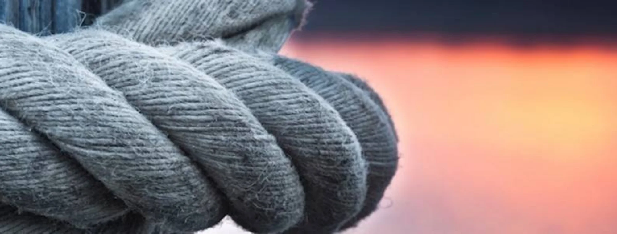 Information for Buyers