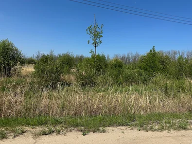 Albert Beach: 3 Poirier Street