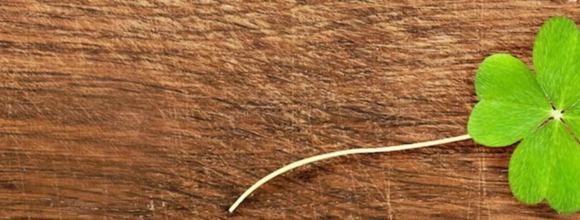 Information for Sellers